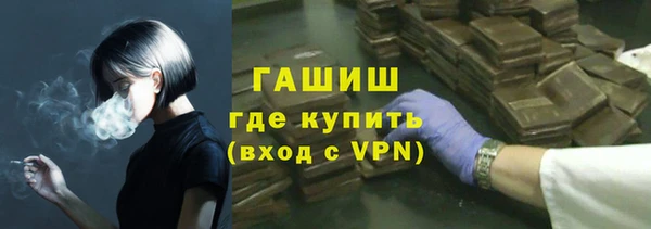 сатива Белокуриха