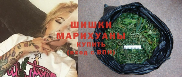сатива Белокуриха