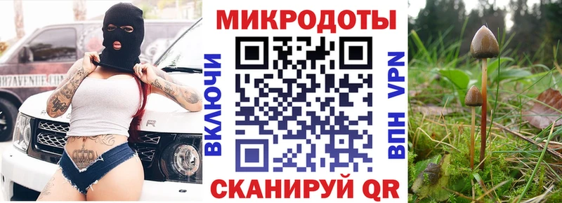 Галлюциногенные грибы мицелий  OMG ссылки  Цоци-Юрт 